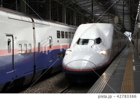 新潟駅に停車中の上越新幹線Maxとき号 新潟駅に停車中の上越新幹線Maxとき号 42783366
