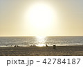 ビーチ 42784187