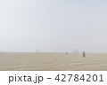 ビーチ 42784201