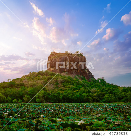 Sunset view of Lion Rock. Sigiriya, Sri Lanka 42786338