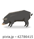 Flat geometric Mulefoot pig 42786415