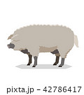 Flat geometric Mangalitsa pig 42786417