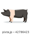Flat geometric Hampshire pig 42786423