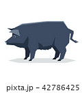 Flat geometric Guinea Hog 42786425