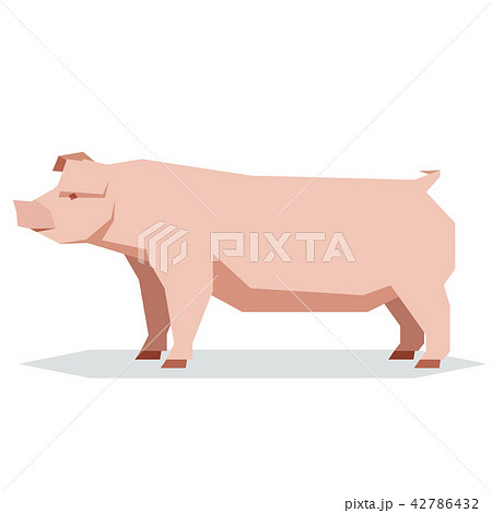 Flat geometric Chester white pig 42786432