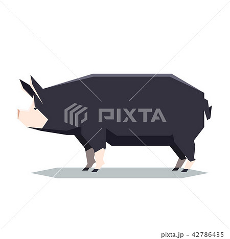 Flat geometric Berkshire pig Flat geometric Berkshire pig 42786435