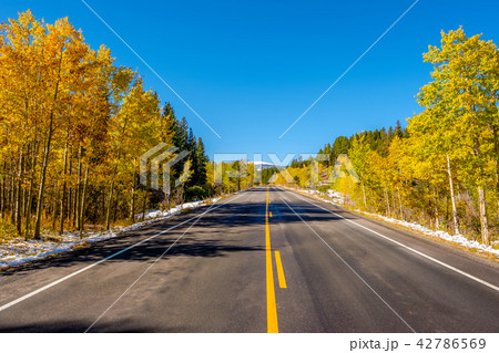 Highway at autumn in Colorado, USA. Highway at autumn in Colorado, USA. 42786569