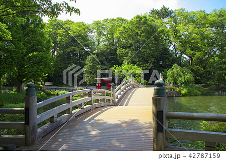 洗足池公園･池月橋/東京都大田区南千束 42787159