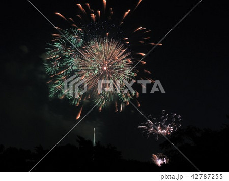 夜空を彩る戸田橋花火大会の花火 夜空を彩る戸田橋花火大会の花火 42787255