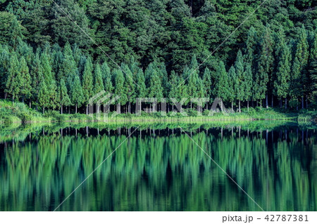 夏の中綱湖 夏の中綱湖 42787381