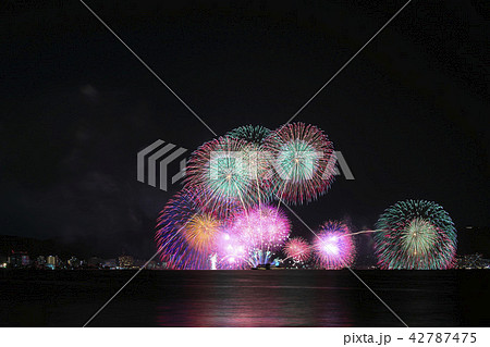 琵琶湖花火大会 琵琶湖花火大会 42787475