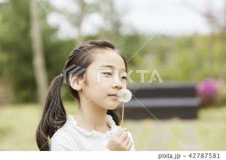 韓国人 女の子 女性 42787581