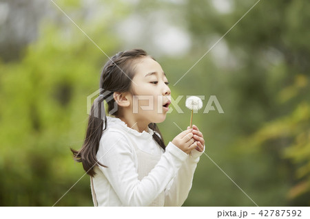 韓国人 少女 笑顔 42787592