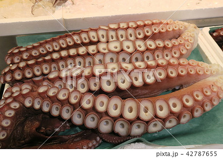 タコ・たこ 42787655