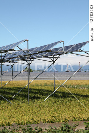 太陽光パネル_営農型ソーラー 三重県木曽岬町 太陽光パネル_営農型ソーラー 三重県木曽岬町 42788238
