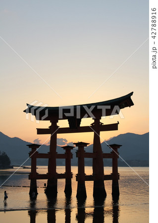<広島県>夕焼けに染まる宮島の大鳥居 <広島県>夕焼けに染まる宮島の大鳥居 42788916
