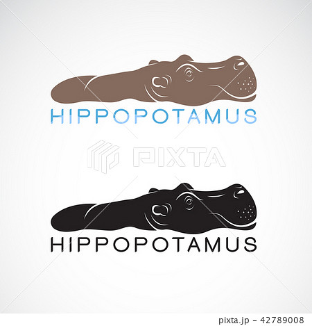 Vector of hippopotamus or hippo. Animal. Vector of hippopotamus or hippo. Animal. 42789008