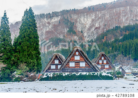 Gassho-zukuri house in Shirakawa village, Japan 42789108
