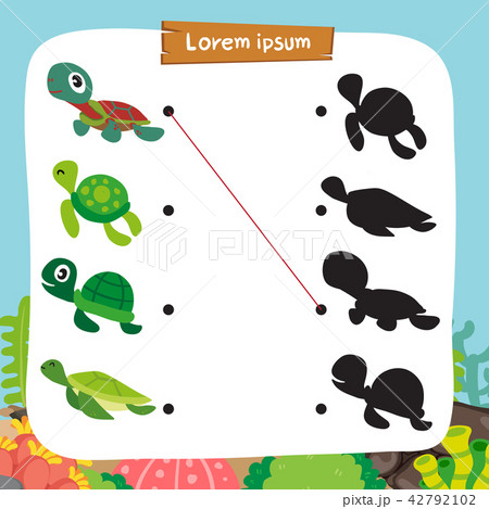 turtle matching game vector design 42792102