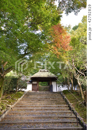 安楽寺　山門　紅葉 42792819