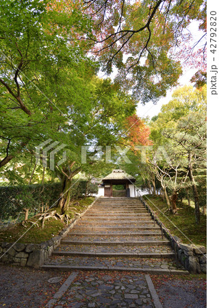 安楽寺 山門 紅葉 安楽寺 山門 紅葉 42792820