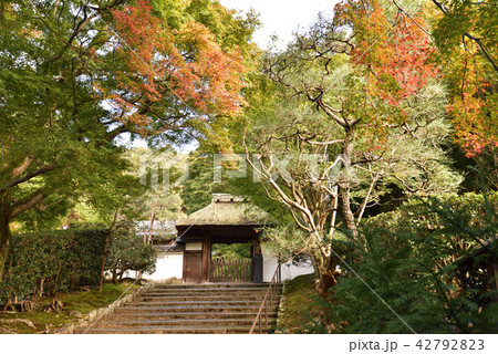 安楽寺　山門　紅葉 42792823