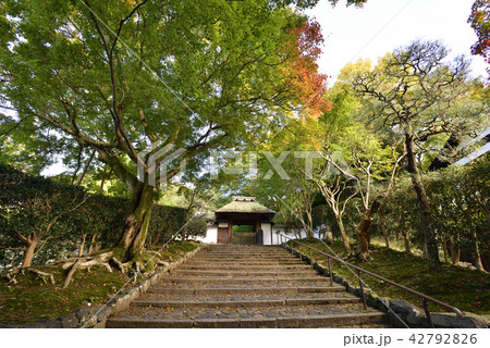 安楽寺 山門 紅葉 安楽寺 山門 紅葉 42792826