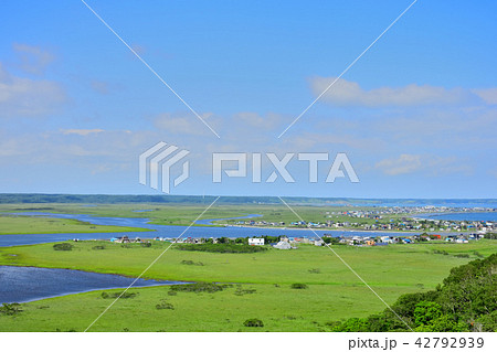 北海道 霧多布湿原 琵琶瀬展望台より望む 北海道 霧多布湿原 琵琶瀬展望台より望む 42792939
