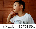夏の男の子のポートレート 42793691