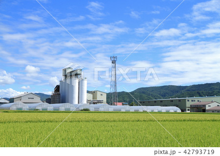 北の安曇野 カントリーエレベーターのある農村風景 北の安曇野 カントリーエレベーターのある農村風景 42793719