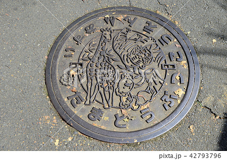 多摩動物園　マンホールの蓋 42793796