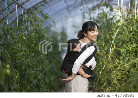 農家の母 42793935