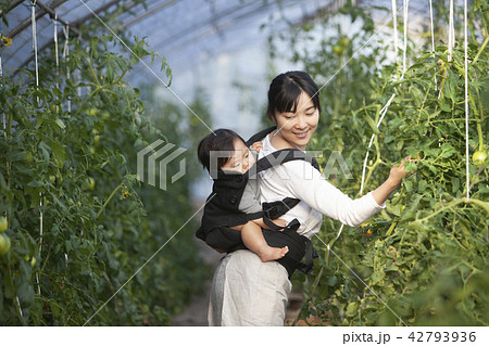 農家の母 42793936
