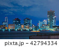 東京の夜景 42794334