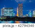 東京の夜景　東京タワー 42794340