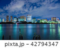 東京の夜景 42794347