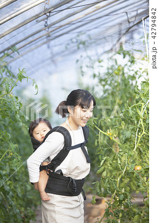 子育てしながら家庭菜園 42794842