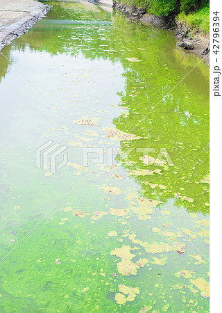 Contaminated watercourse 42796394