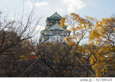紅葉の大阪城 紅葉の大阪城 42796420