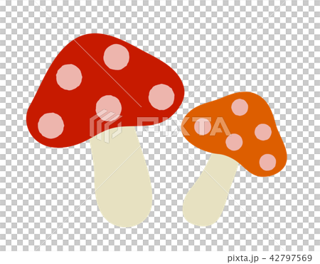 毒キノコ 毒キノコ 42797569