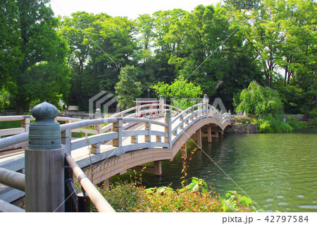 洗足池公園・池月橋/東京都大田区南千束 洗足池公園・池月橋/東京都大田区南千束 42797584