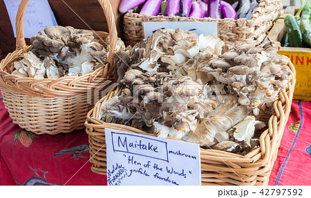 アメリカの市場で売られている天然マイタケ アメリカの市場で売られている天然マイタケ 42797592