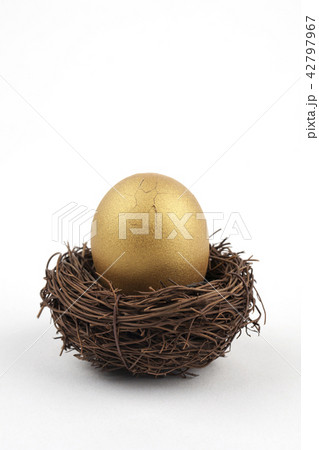 金の卵 卵 ビジネス 42797967
