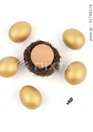金の卵 卵 ビジネスマン 42798118