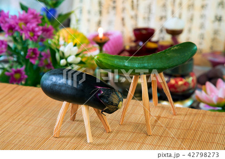 野菜の馬と牛(精霊馬) 42798273