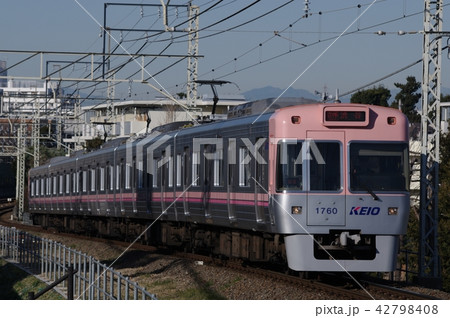 京王 1000系 サーモンピンク 高井戸駅 京王 1000系 サーモンピンク 高井戸駅 42798408