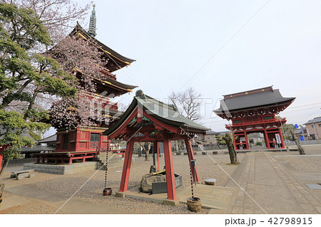 板橋不動尊 三重塔と楼門(右奥) 茨城県つくばみらい市 板橋不動尊 三重塔と楼門(右奥) 茨城県つくばみらい市 42798915