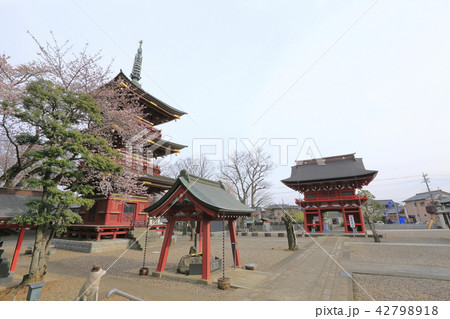 板橋不動尊 三重塔と楼門(右奥) 茨城県つくばみらい市 板橋不動尊 三重塔と楼門(右奥) 茨城県つくばみらい市 42798918