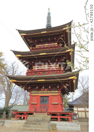 板橋不動尊　三重塔　茨城県つくばみらい市 42799150