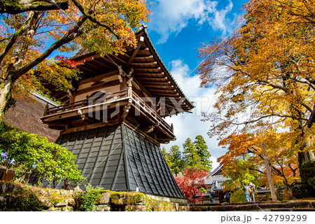 錦秋の永源寺　鐘楼　観光客 42799299